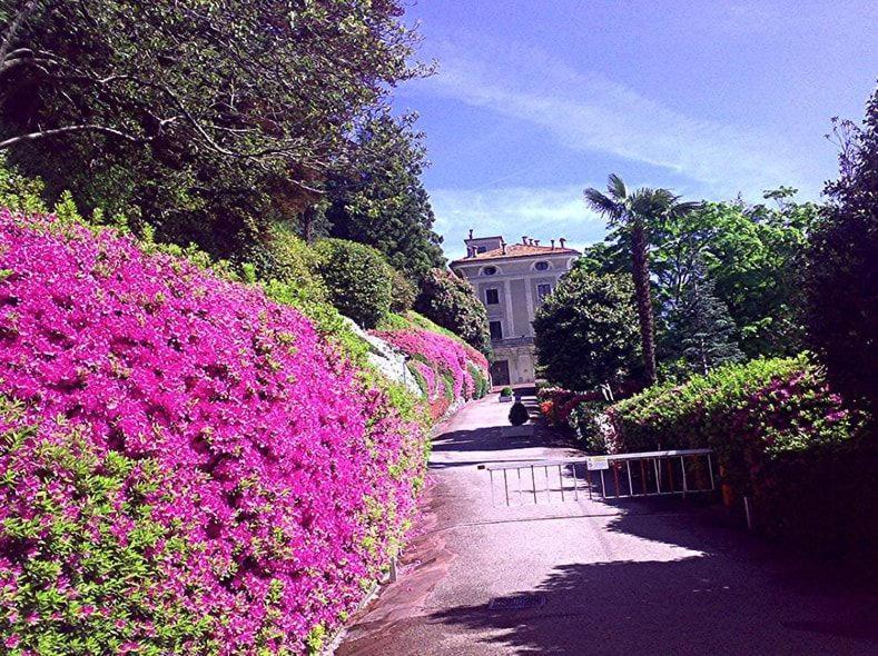 Gioia Apartment Oggebbio Bagian luar foto
