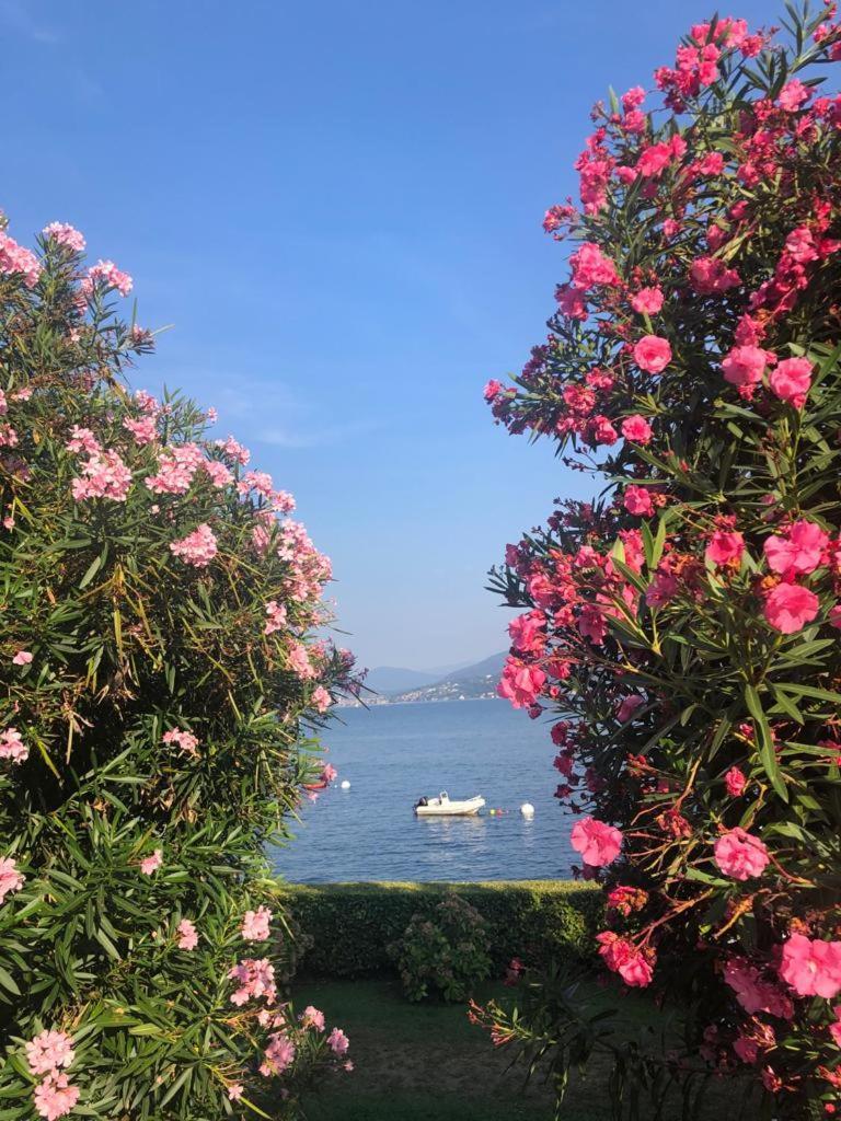 Gioia Apartment Oggebbio Bagian luar foto