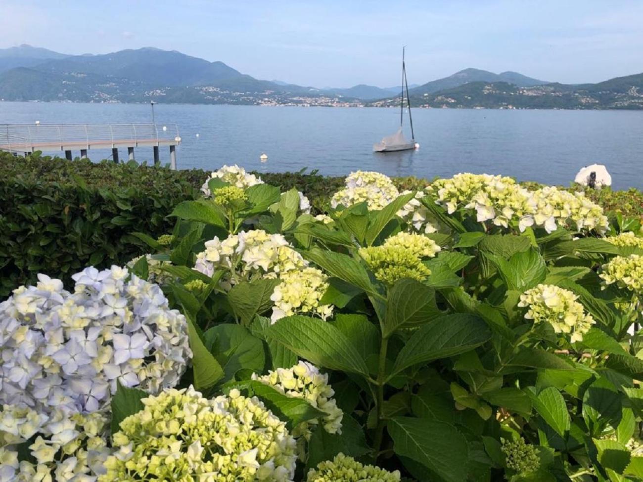 Gioia Apartment Oggebbio Bagian luar foto